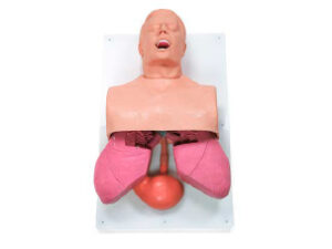 Manejo de Vías Respiratorias en Adultos