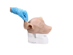 Simulador de Otoscopía