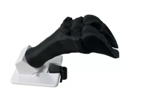 Simulador de Vendaje de Pezuña Bovina