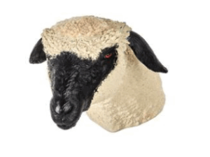 Simulador para Práctica de Pistola de Perno Cordero