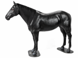 Simulador Equino de Palpación y Cólicos