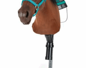 Simulador Equino para Prácticas de Venopunción con Soporte