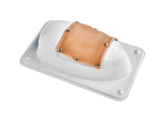 Simulador de Ovariohisterectomía Canino