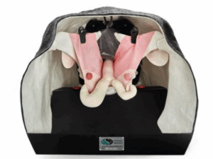 Simulador Bovino para Teriogeniología