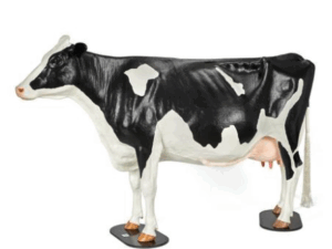 Modelo Bovino Holstein para Simulación de Distocia