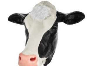 Simulador para Práctica de Pistola de Perno Bovino