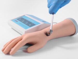 Modelo de examen del nervio del antebrazo PRA040