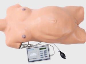 Simulador de examinación obstétrica PRA005.01