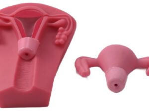 Kit de simulación para Dispositivo Intrauterino OBE014.01