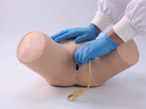 Modelo de cateterismo femenino PRA004.01