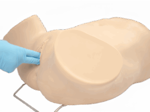 Simulador de habilidades ginecológicas avanzadas PRA001.02