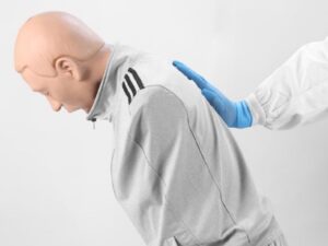 Simulador adulto de entrenamiento de maniobra de Heimlich CLE022.03