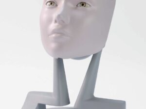 Modelo de examen de ojo MEE017.01