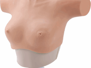 Modelo de entrenamiento para la palpación y el diagnóstico visual del cáncer de mama - PRAGYE003