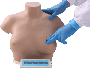 Modelo de inspección y palpación del cáncer de mama PRAGYE003.03