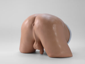 Modelo de examen rectal digital de próstata PRASUE023