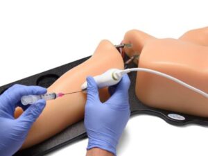 Modelo de entrenamiento de ultrasonido para acceso vascular PICC, PIV y línea arterial