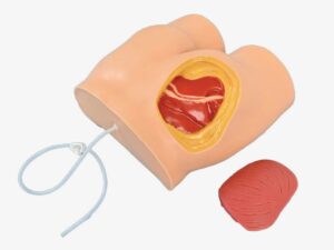 Modelo de inyección de glúteos (PRA007.03)