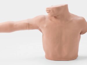 Modelo de punción y cateterización venosa periférica (PRA005.05)