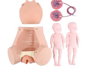 Simulador de parto con gemelos (PRAOBE001.01)