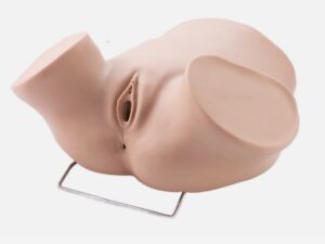 Modelo de capacitación sobre inserción y extracción de DIU ginecológico (PRA014.02)