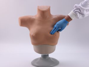 Modelo de entrenamiento para la palpación y el diagnóstico visual del cáncer de mama - PRAGYE003