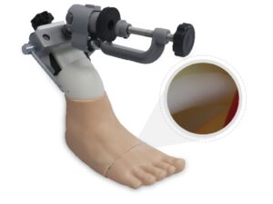 Modelo de entrenamiento para artroscopia de tobillo - MEE068