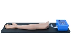 Brazo de entrenamiento para el acceso IV guiado por US (BP040)