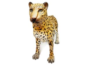 Gynleo – Leopardo