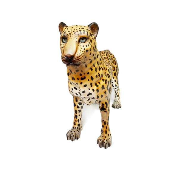Gynleo – Leopardo