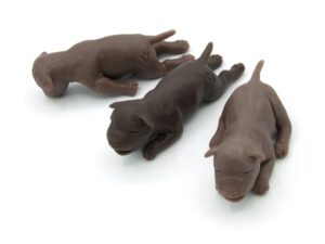 Trío de Cachorros