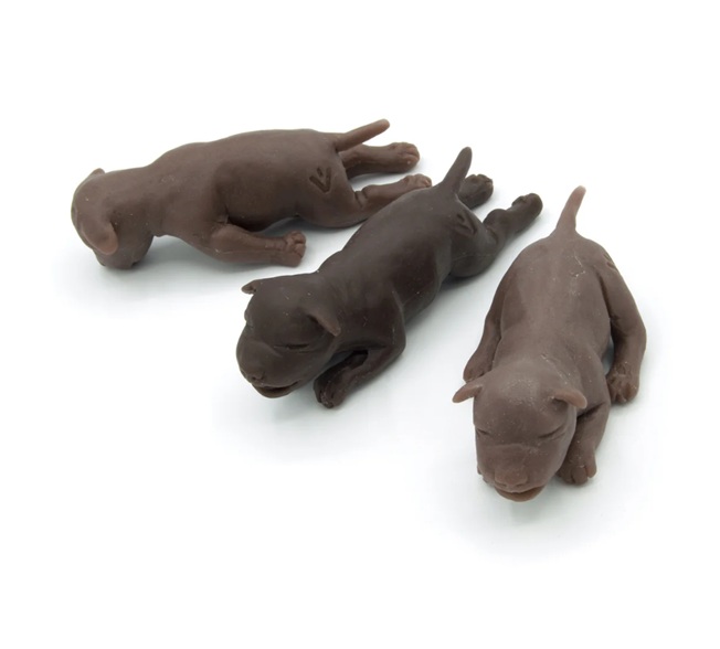 Trío de Cachorros