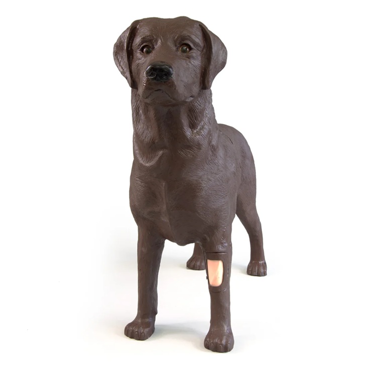 GynDog