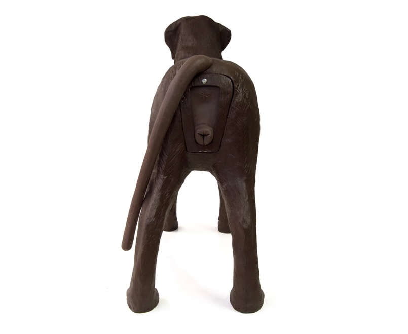 GynDog - Imagen 4