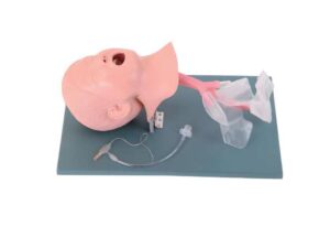 Cabeza Pediátrica de Intubación Endotraqueal --- PEE010