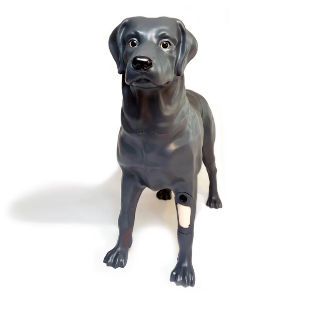 Androdog Andy