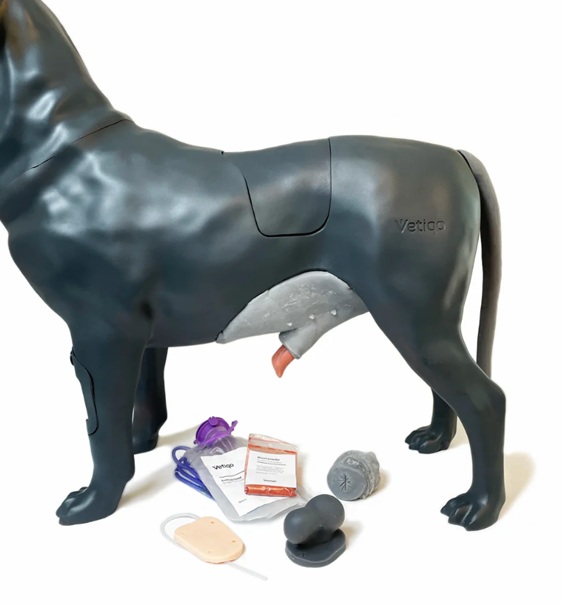 Androdog Andy - Imagen 3