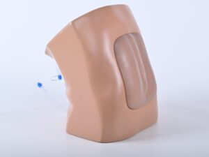 Modelo de entrenamiento en ecografía epidural (Lumbar) – BPE021