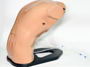 Modelo de entrenamiento en ecografía epidural (Lumbar y Torácico) – BPE021.01