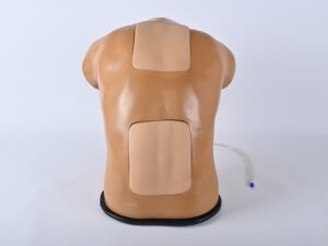 Modelo de entrenamiento en ecografía epidural (Lumbar y Cervical) – BPE021.02