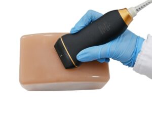 Modelo de entrenamiento de tiroides para ultrasonido BPE028